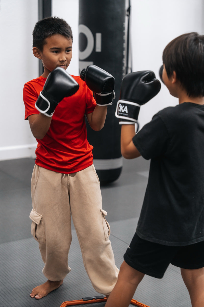 Okakickboxing